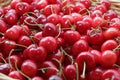 Cherries. Cherry. Organic cherries in basket on a farmerÃ¢â¬â¢s market. Red cherry background. Fresh cherries texture. Healthy food. Royalty Free Stock Photo